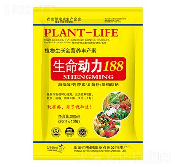 生命動力188-暢瞬