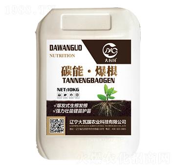 ̼�ܡ�����-���߇��r(n��ng)�I(y��)