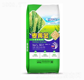 小麥返青肥-科技之光-潤(rùn)土