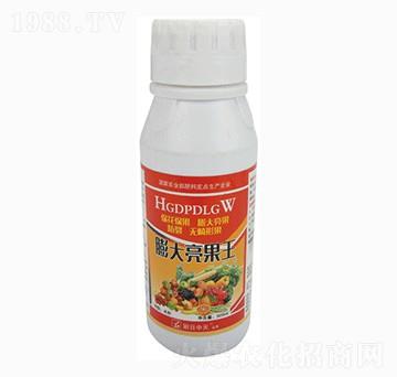 ���������-����ʘI(y��)