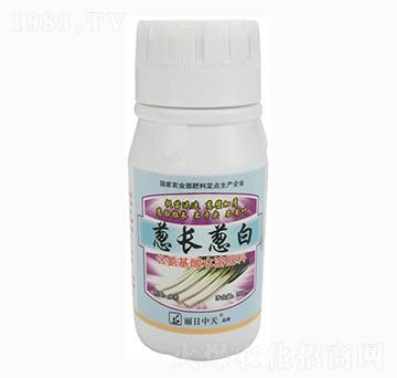 �[�L�[��-����ʘI(y��)