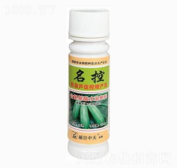 �����J�ٿ����a�`-����-����ʘI(y��)