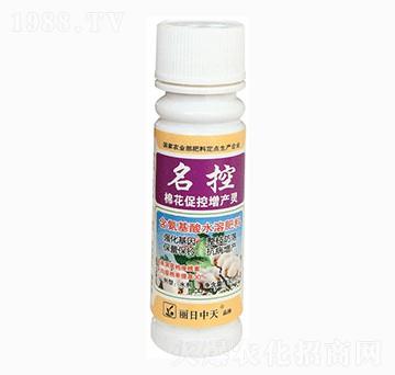 �޻��ٿ����a�`-����-����ʘI(y��)