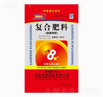 ������͏ͺϷ���15-