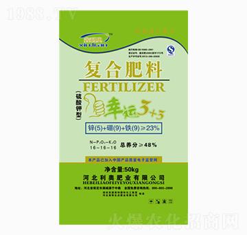 ������͏ͺϷ���16-