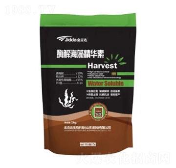 酶解海藻精華素-金吉達(dá)