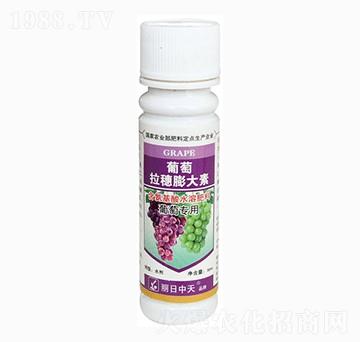 �������������-����ʘI(y��)