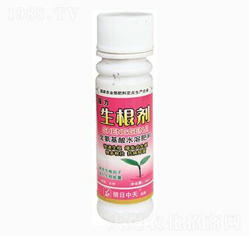 ����������-����ʘI(y��)