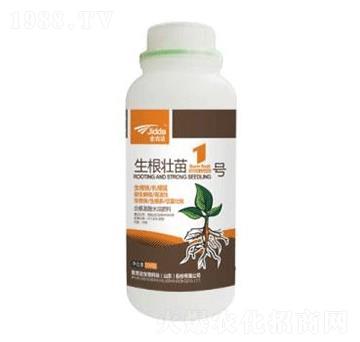 生根壯苗1號-金吉達(dá)