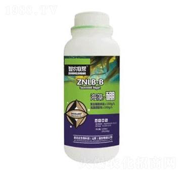 海藻硼-金吉達(dá)