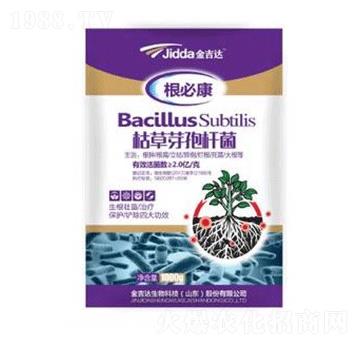 枯草芽孢桿菌-金吉達(dá)