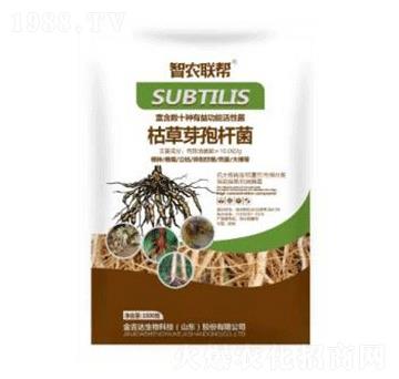 1000g枯草芽孢桿菌-金吉達(dá)