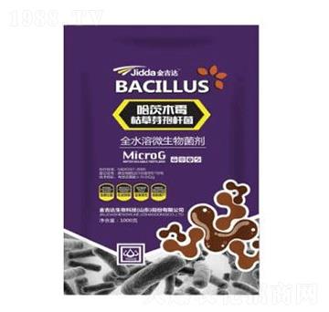 哈茨木霉枯草芽孢桿菌-金吉達(dá)
