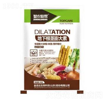 地下根莖膨大素-金吉達(dá)