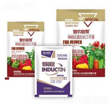 辣椒拉直拉長三不落-金吉達(dá)