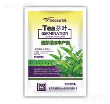 茶葉催芽增厚豐產(chǎn)素-金吉達(dá)