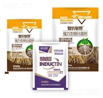 生根壯苗劑-金吉達(dá)
