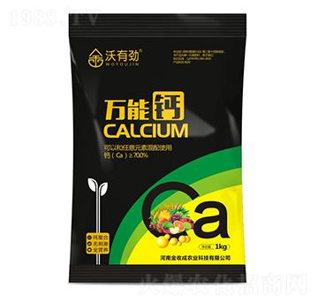 ȫ���}-���Є�-���ճ�