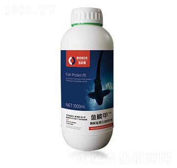 �~ӯ�T-�~�[��-������