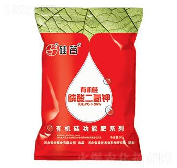 �ЙC(j��)����������-���