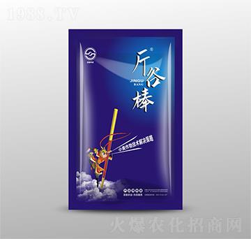 С�����＼�g(sh��)��Q����-��Ȱ�-ʥ���r(n��ng)�I(y��)