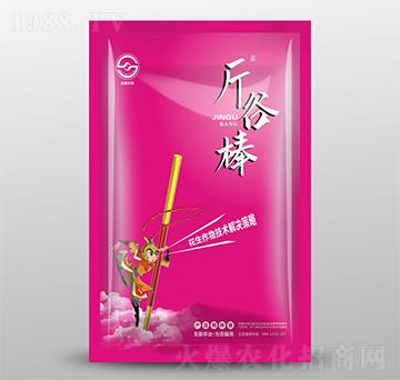 ���b�������＼�g(sh��)��Q����-��Ȱ�-ʥ���r(n��ng)�I(y��)