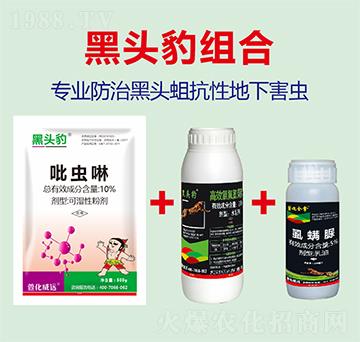 10%���x��+2.5%