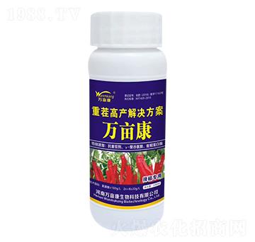 辣椒專(zhuān)用重茬高產(chǎn)解決方案-萬(wàn)畝康