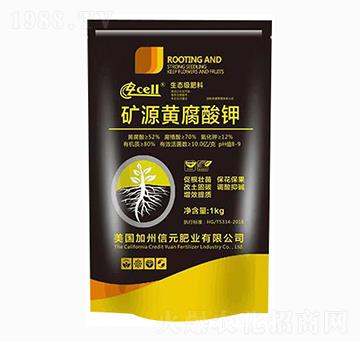 礦源黃腐酸鉀-泰玉肥業(yè)