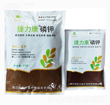 ��������-������-��ԭ��ʢ