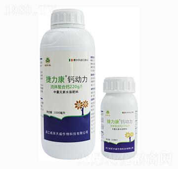 �}����-������-��ԭ��ʢ