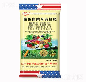 �����׼{���ЙC��-ǧԽ