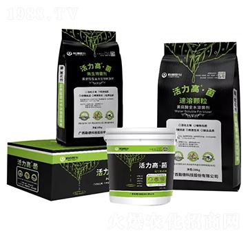 �S�����͏ͺ�����̼���-�����ߡ���-�ڵ¿Ƽ�