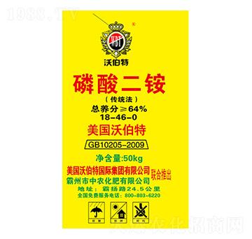 ������@-�ֲ���-���r����