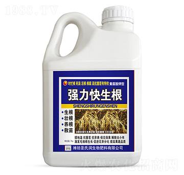 ��(qi��ng)��������-ʥ�ϝ�