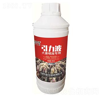 大姜噴施專用-引力波-星農(nóng)生物