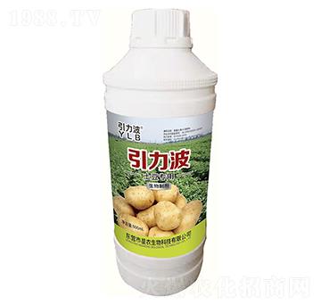 土豆專用生物制劑-引力波-星農(nóng)生物