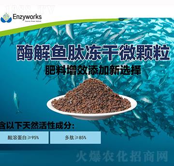 酶解魚肽凍干微顆粒-中肽生物