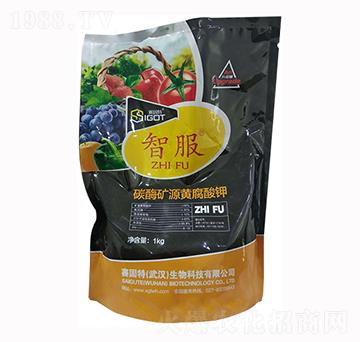 ̼ø�VԴ�S�����-�Ƿ�-ِ����