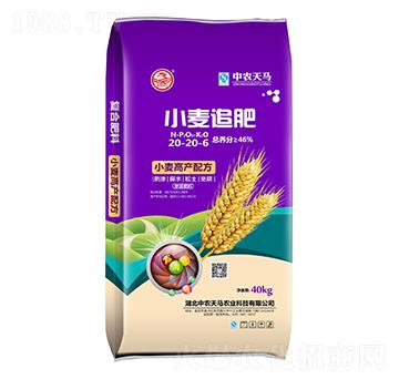 С��׷��20-20-6-���r(n��ng)���R