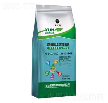 ��ֲ��ˮ���Ծ���24-10-16+TE-�����Q-���Q����