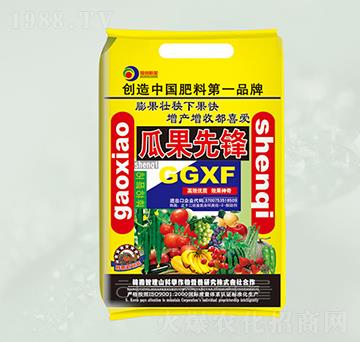 瓜果先鋒膨果壯秧-晶園肥料