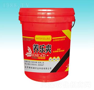 �B(y��ng)��(l��)ˬ-��ԣ��