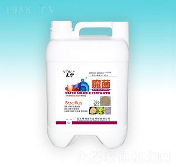 ħ��-��ԣ��