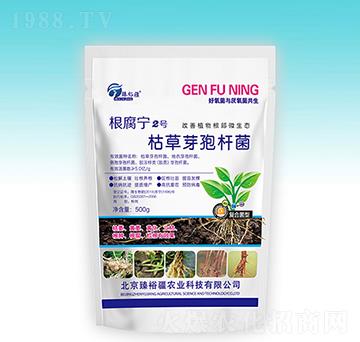枯草芽孢桿菌-根腐寧2號-臻裕疆