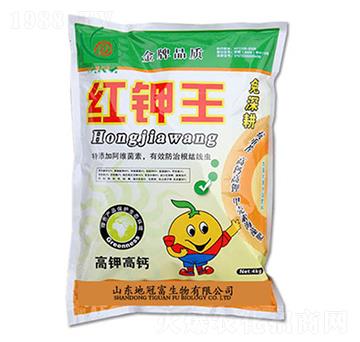 �t���-�عڸ�