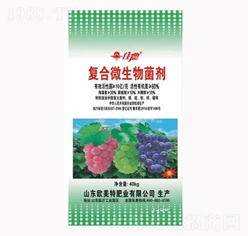 ���ь�(zhu��n)�Ï�(f��)��΢�������-��������