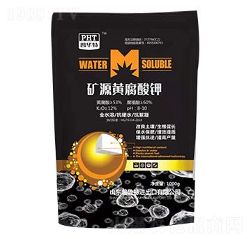 �VԴ�S�����-������