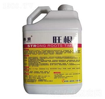 �_ʩ��-����-�����o�ʘI(y��)