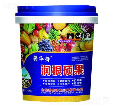 潤根碩果-普魯特